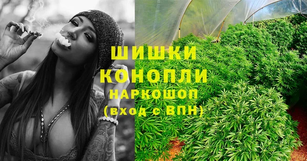 каннабис Богданович