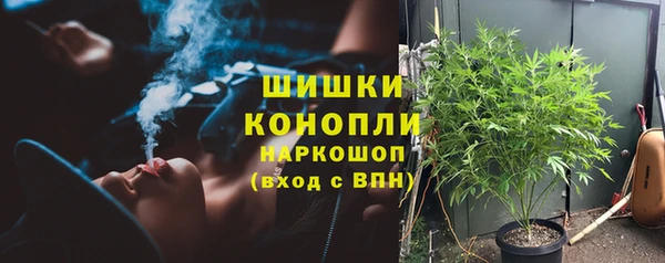 ПСИЛОЦИБИНОВЫЕ ГРИБЫ Баксан