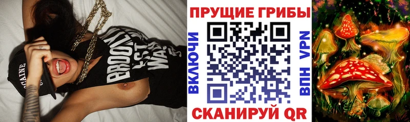 где продают наркотики  Кашира  блэк спрут сайт  Галлюциногенные грибы мицелий 